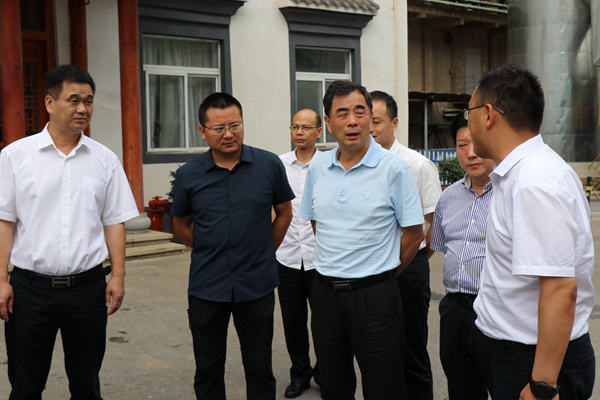 1595550479189497.jpg 1.JPG