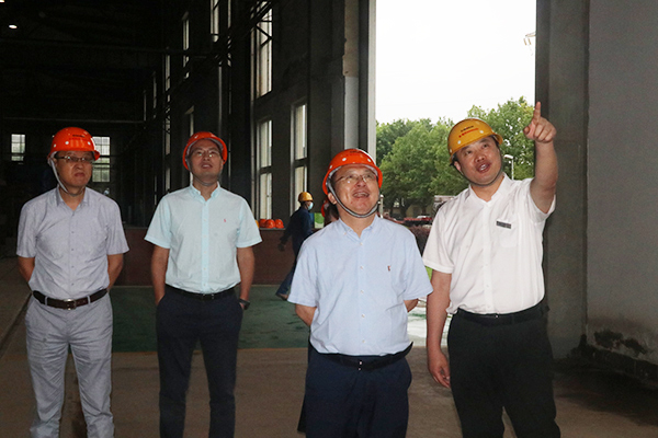 1596097992530095.jpg 1.JPG