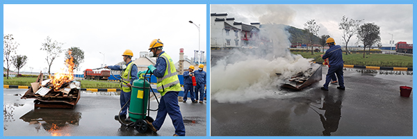 1600390225440204.jpg 33.jpg