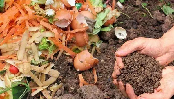 1602468618874439.png 圖片 2.png