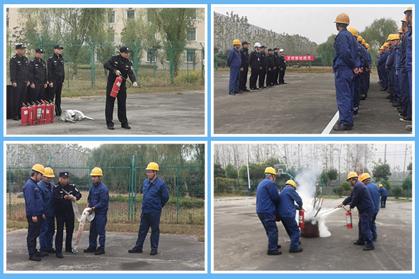 1604911537408962.jpg 2 (2).jpg