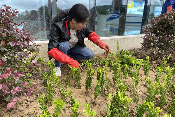 1605494229725593.jpg 微信圖片_20201116101354.jpg