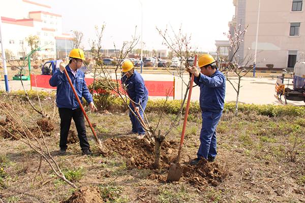 1616141500625622.jpg IMG_1692.JPG