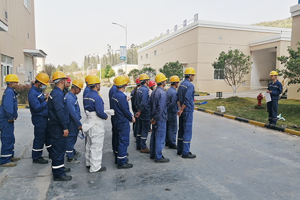 1617170611653774.jpg 2.jpg