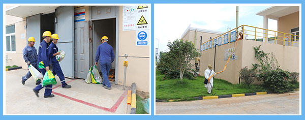 1628663763684501.jpg 3.jpg