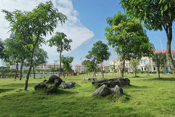 1636622784682532.jpg 5.jpg