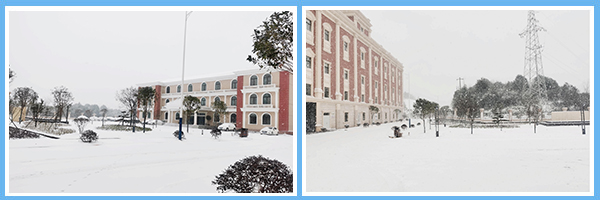 1641469818689916.jpg 1.jpg