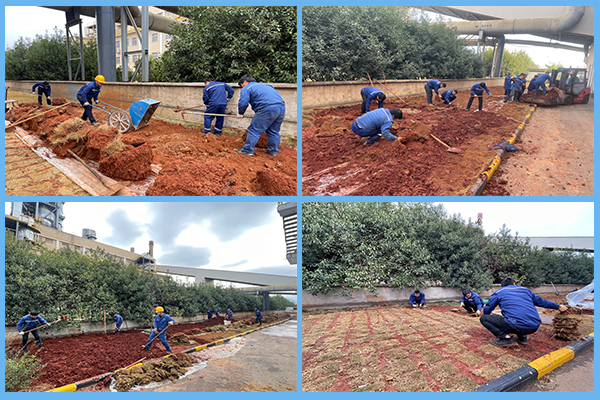 1647345722334278.png 圖片1.png