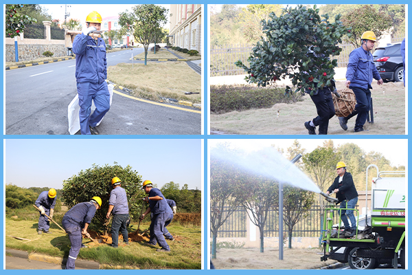 1713357569923250.jpg P圖-四框.jpg