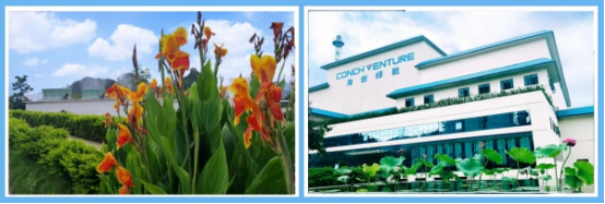 1717485382698994.jpg 2-2.jpg