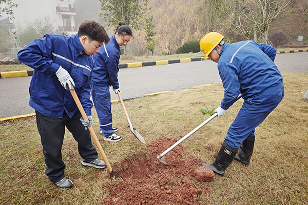 1744250155918462.jpg 挖樹坑600X400.jpg